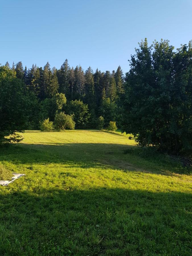 Pensiunea Nadine Hotel Agapia Eksteriør billede